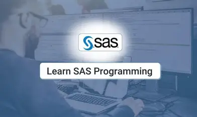 SAS Programmer Professional Certificate – Coursera